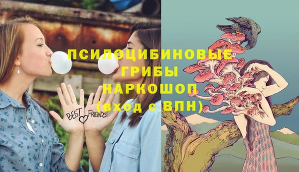 мдпв Беломорск