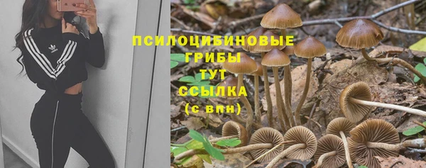 эйфоретик Белоозёрский