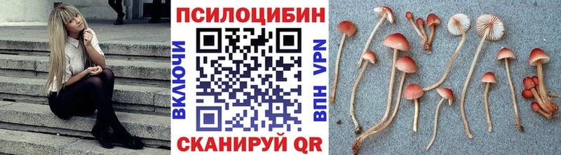 Галлюциногенные грибы MAGIC MUSHROOMS  Мариинский Посад 